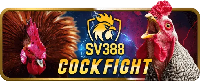 Ưu đãi nạp tiền hàng ngày fa8bet nhà cái